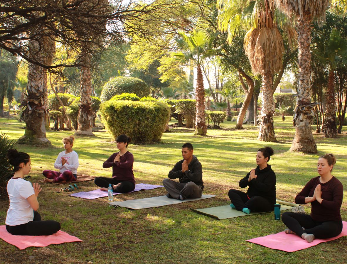 Coaching y Servicios Personalizados